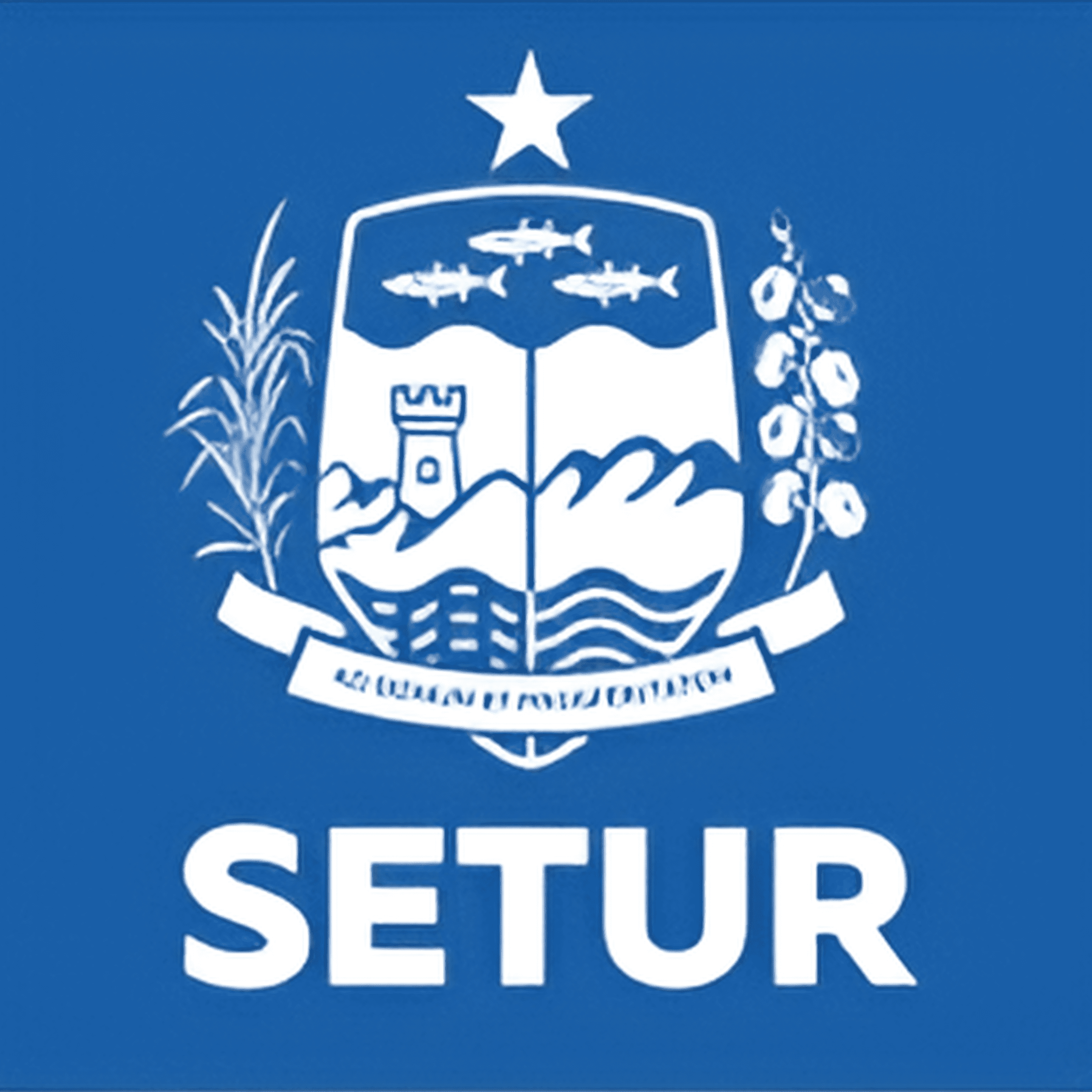 SETUR